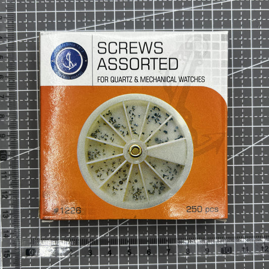 Stainless Steel Mini Watch Screws Assortment 250pcs for watch repair and accessory maintenance.