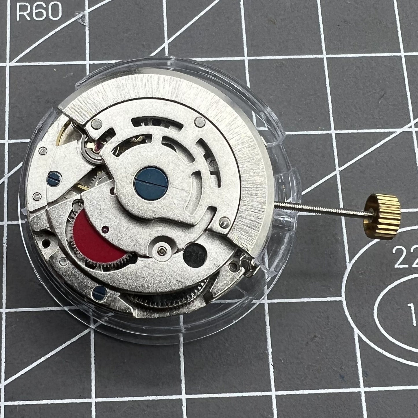 Dandong 8217 silver watch accessory displaying intricate automatic mechanical movement components.