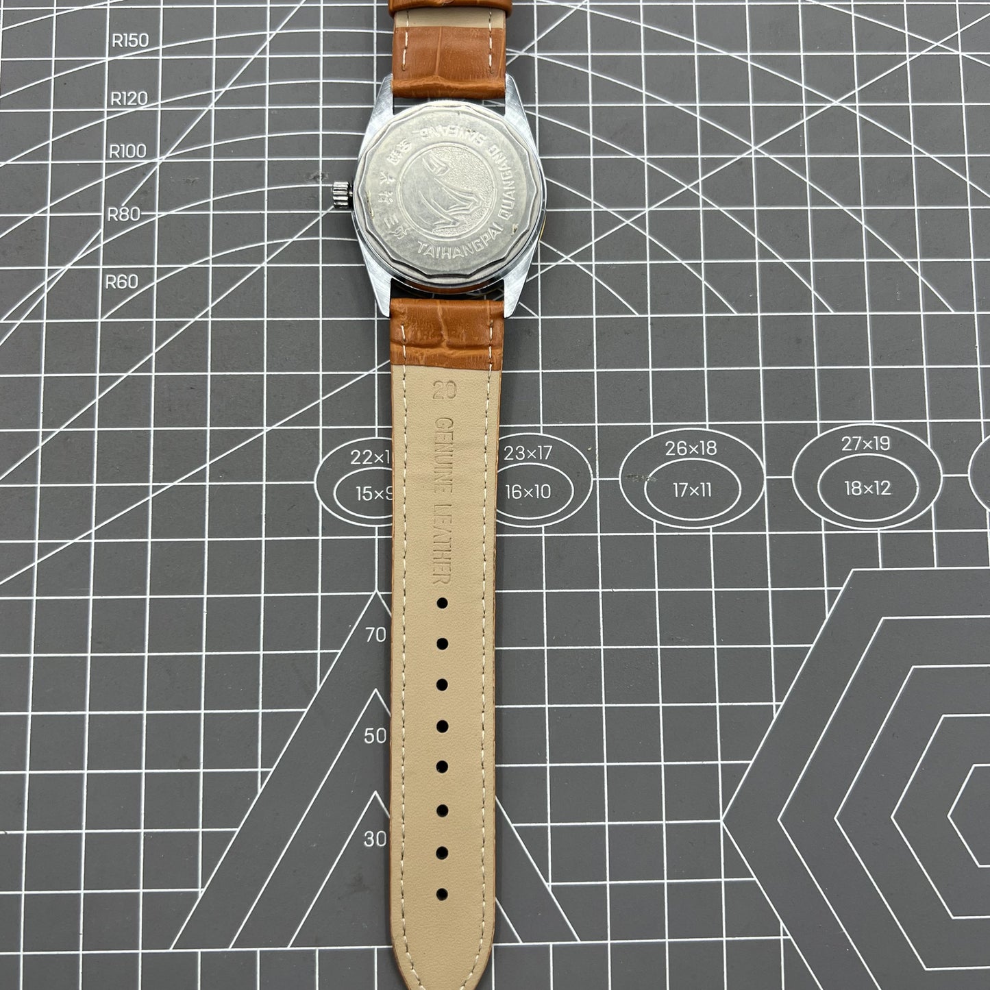 TAIHANG 38mm mechanical watch with silver dial, golden hour markers, and 17 jewel round case movement.