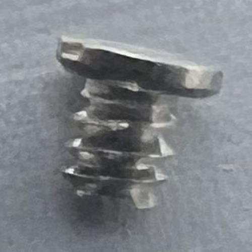 10 STÜCK Automatische Gerät Brücke Schiene Schrauben Fit für ETA 2836-2 2824-2 2834-2