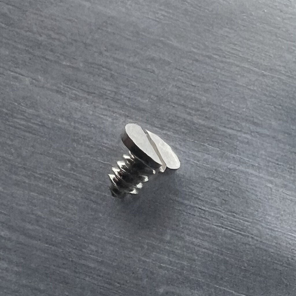 Ratchet wheel screws compatible with ETA 2836-2, 2824-2, 2834-2 movements, generic fit by #000SS.