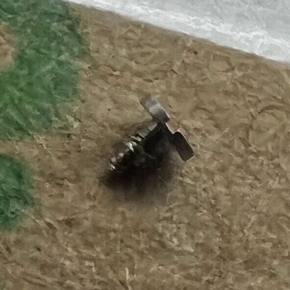 Generic 3135-5115 screw for pallet bridge replacement, precision fit for RLX 3135 watch movement parts.