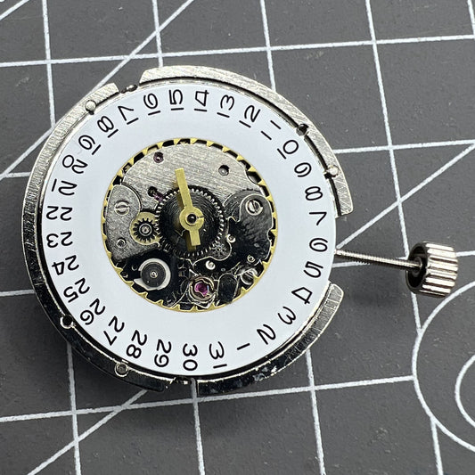 Tianjin Seagull ST6 men's watch movement showing precise automatic mechanical components.