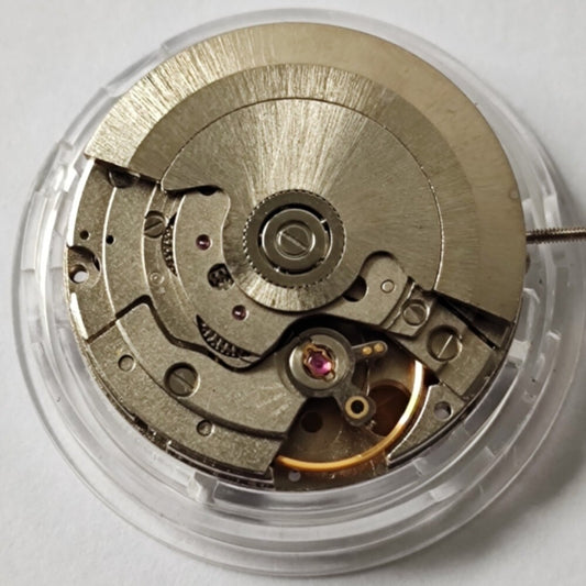 Shanghai brand watch accessory showcasing automatic mechanical movement with double time zone GMT functionality and three hands.