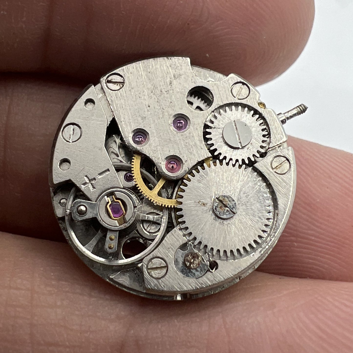 Close-up of five 7121 3121 automatic watch movements by China Precision, ideal for repair and maintenance.