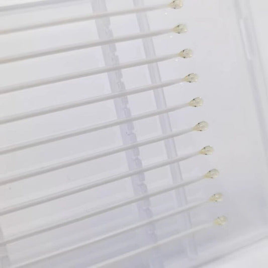 1. Set of 10 adhesive dust removal cleaning swabs for precise watch maintenance.