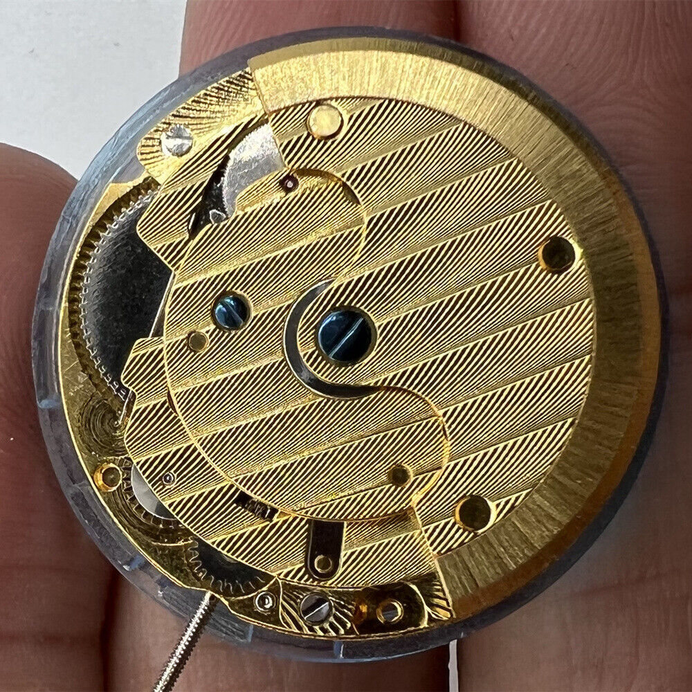 DG2813 automatic watch movement showcasing 3 hands, single calendar, and hollowed-out design.