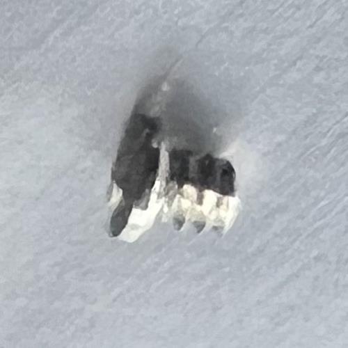 Automatic device bridge splint screws for ETA 2836-2 2824-2 2834-2 watch movements, precision fit.