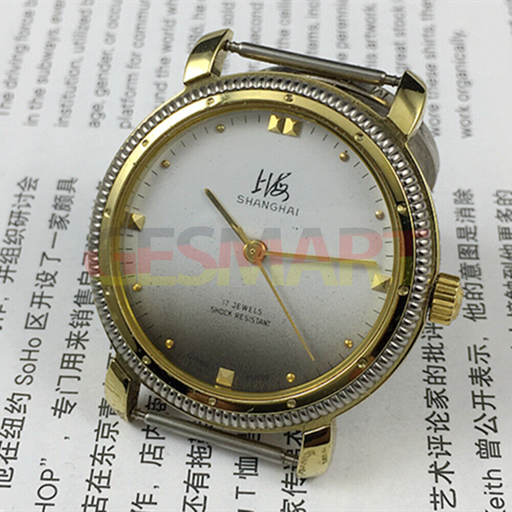 Montre mécanique manuelle fabriquée en usine à Shanghai, cadran gris dégradé à clous dorés