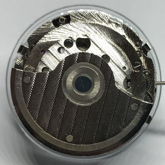 China Made Multifunctional Perpetual Calendar watch accessory with automatic mechanical movement, sleek design for everyday use.