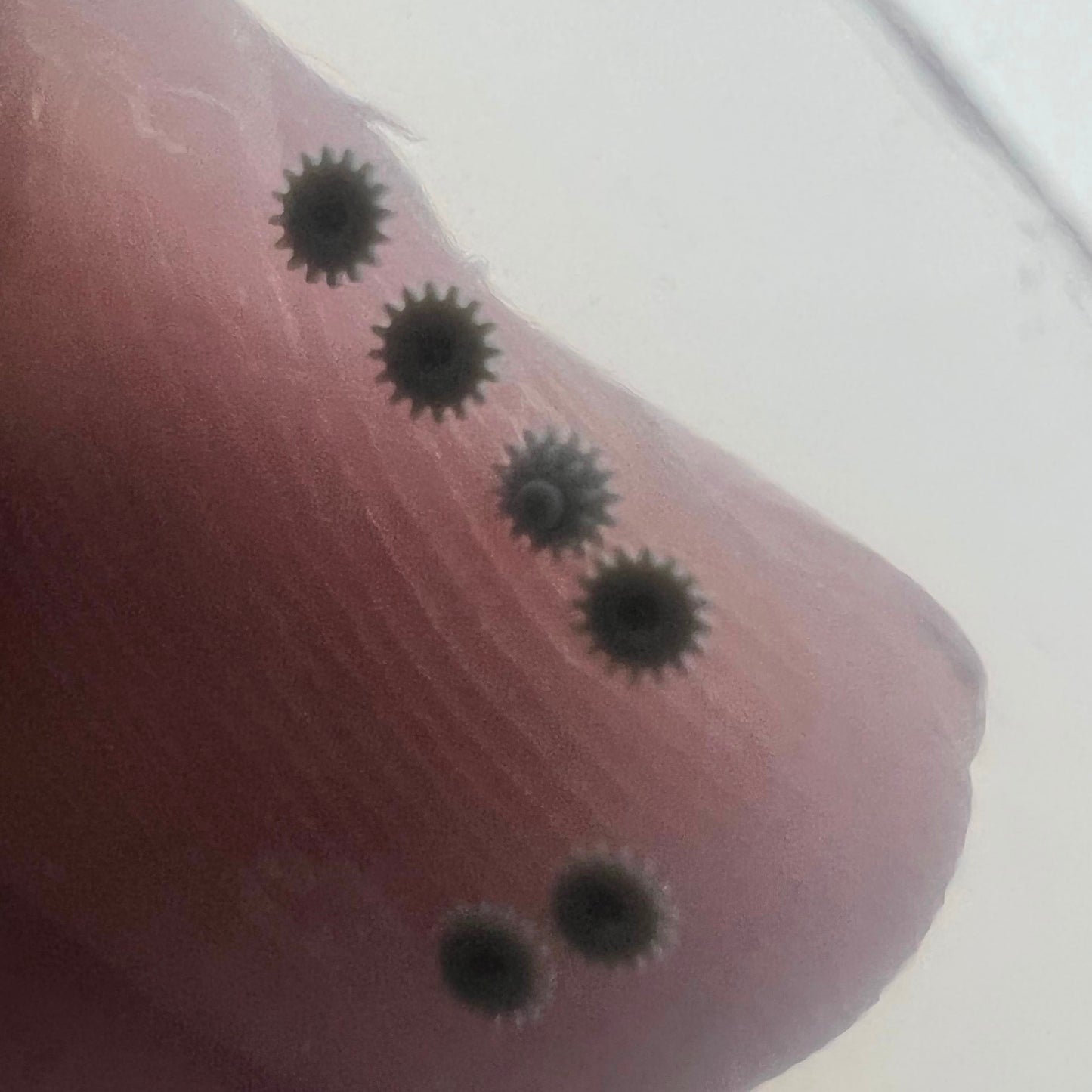 Intermediate date wheel spare part compatible with NH05 NH06 movements for precise watch repair.