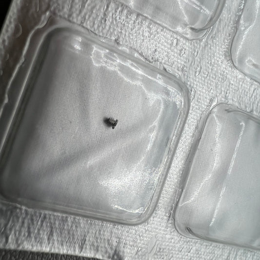 Set of 10 Generic Date Jumper Screws for ETA 2836-2, 2824-2, and 2834-2 watch movements.