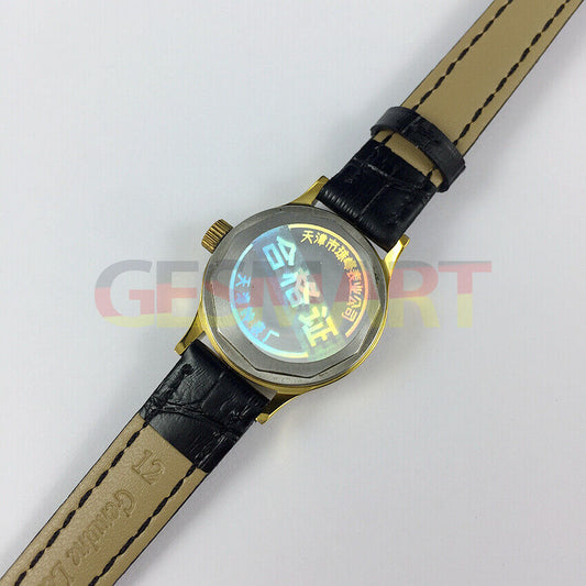 Zhufeng ladies watch with round case, manual mechanical movement, and purple dial background.