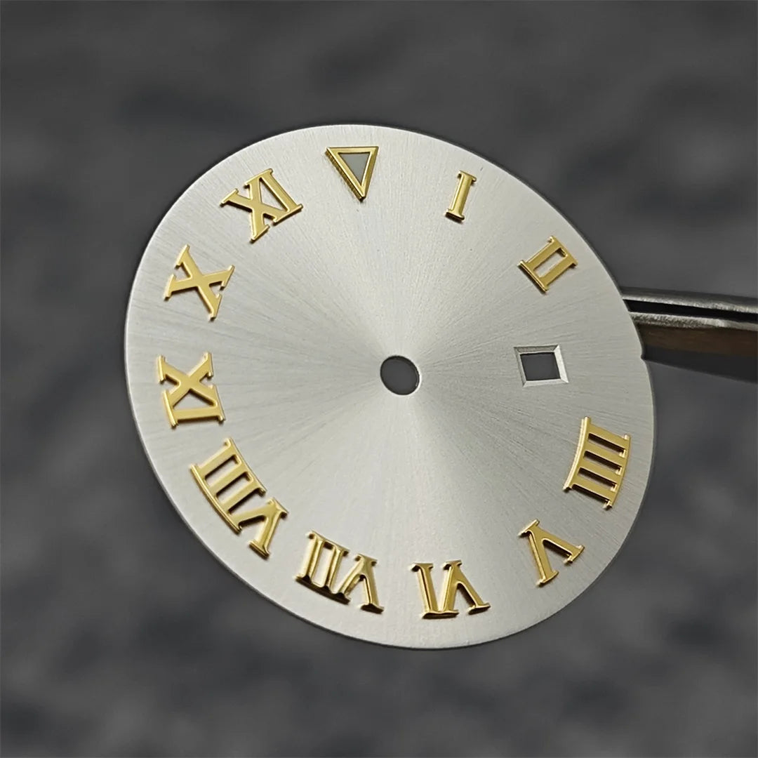 24.5MM Watch Dial Arabic Scale Surface BGW9 Luminous for NH05/NH06 for 31mm Case
