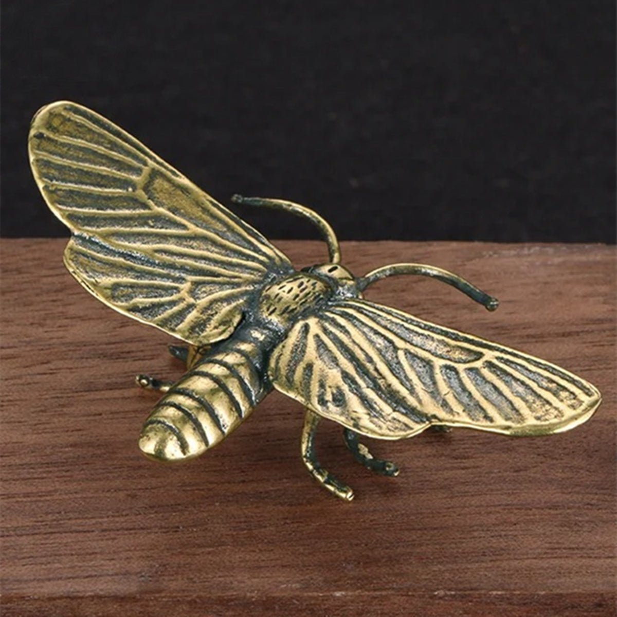 Solid copper dragonfly trinket with vintage bronze finish, hand-carved details.