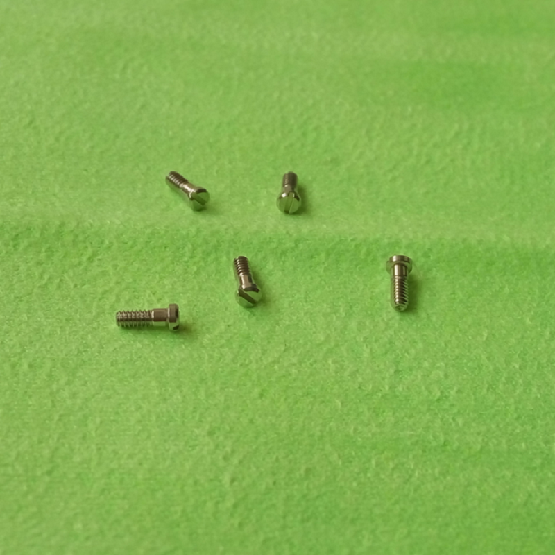 Vis à tête fendue pour fond de boîtier de montre en acier inoxydable n° 4023-A, 12 tailles
