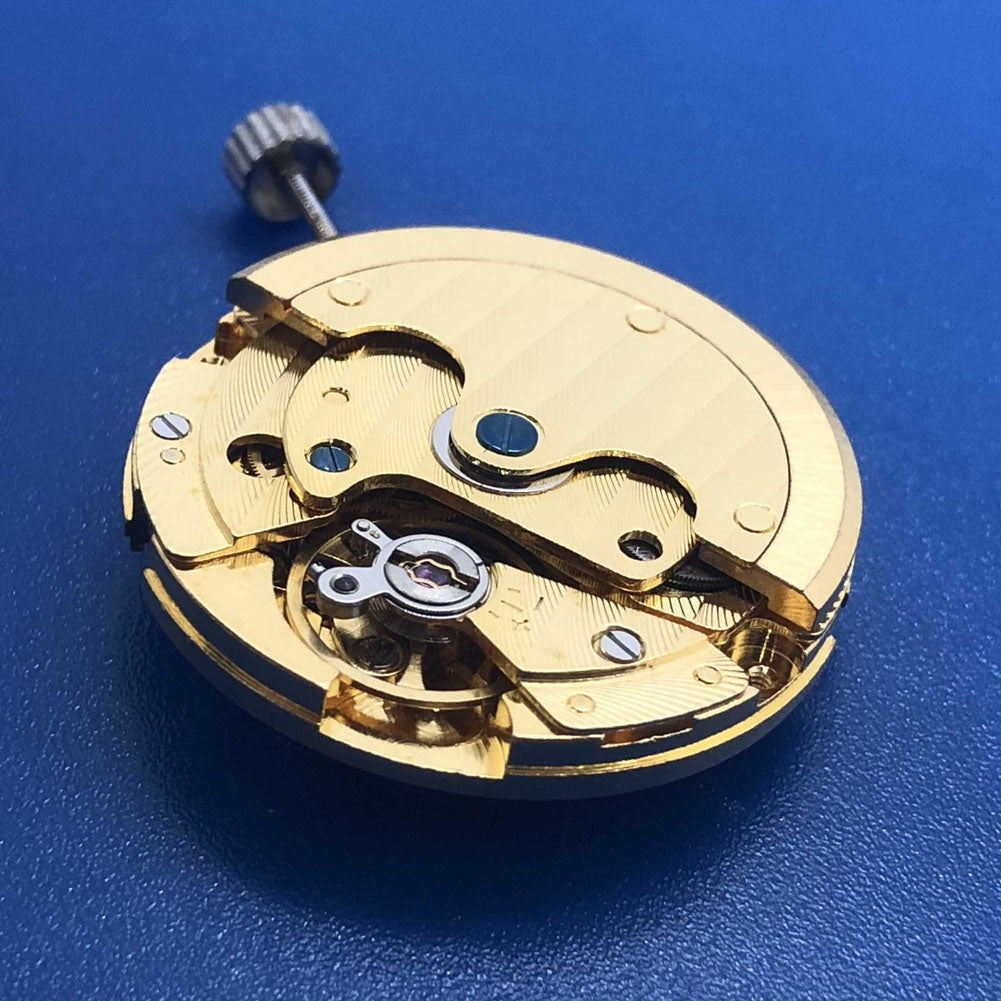 DG2813 automatic watch movement showing three hands, single calendar, and skeleton design accessory.