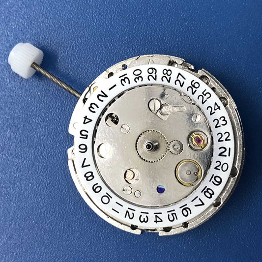 DG2813 watch movement close-up showing automatic mechanical design with date and dual balance wheels.