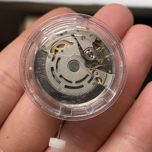 DG2813 Automatic watch with silver dial and golden wheels, Mingzhu 2813 mechanical movement showcased.