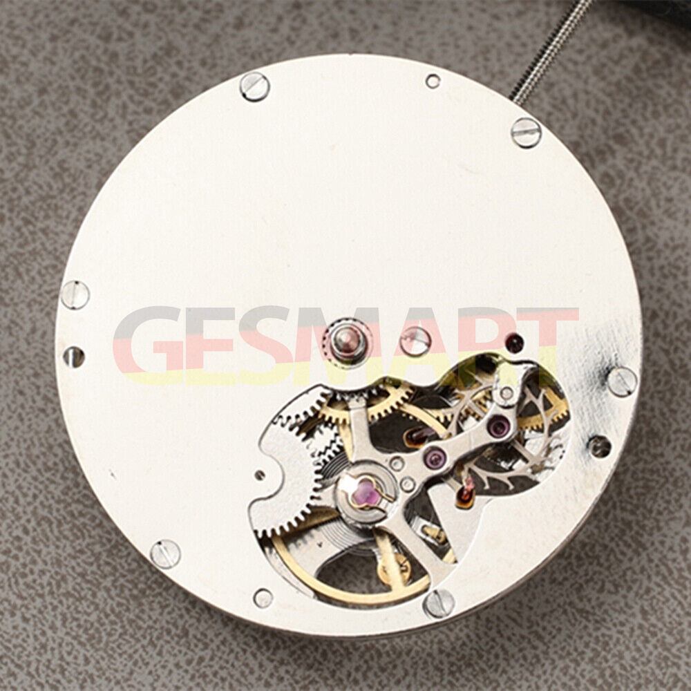 Silver DL8207 Mechanical Watch with Bare Balance Wheel