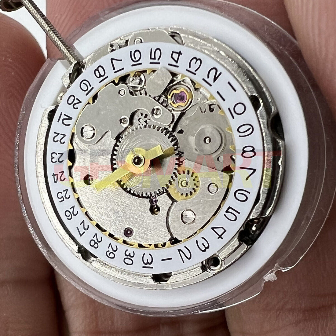 Seagull ST6 Lady men's watch with 3 hands, single calendar, and automatic mechanical movement.