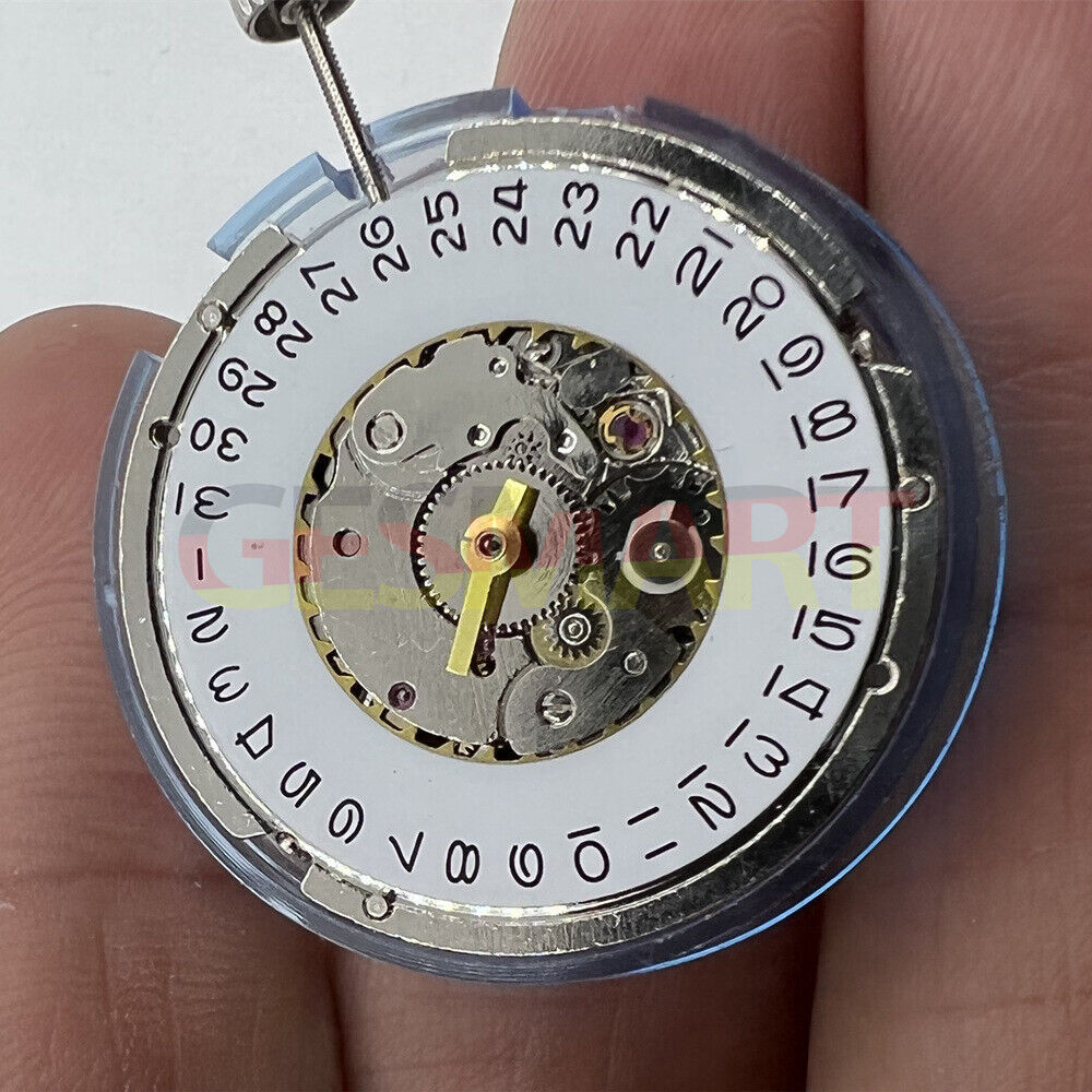 Exquisite China Made Tianjin Seagull Automatic Mechanical Movement