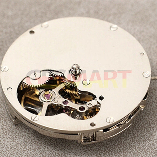 Silver DL8207 automatic balance wheel by Asian DANDONG, showcasing precise mechanical watch movement.