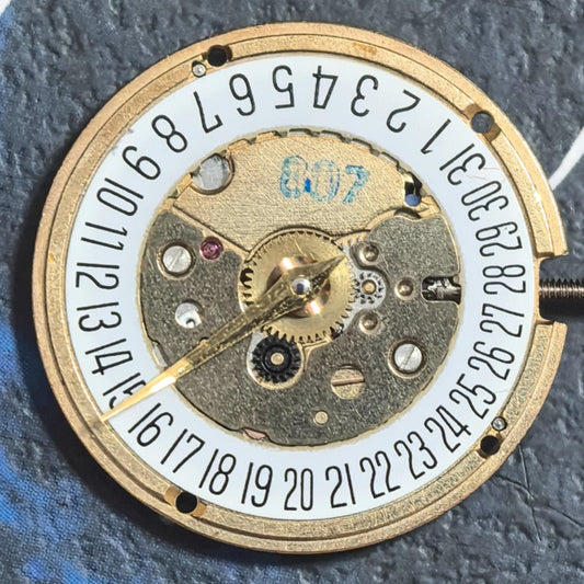 Swiss Made Golden 9200-9320 Quartz Movement 2 Hands Watch Part