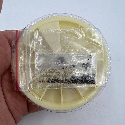 250pcs Swiss Made stainless steel mini watch screws for precise watch repairs and adjustments.