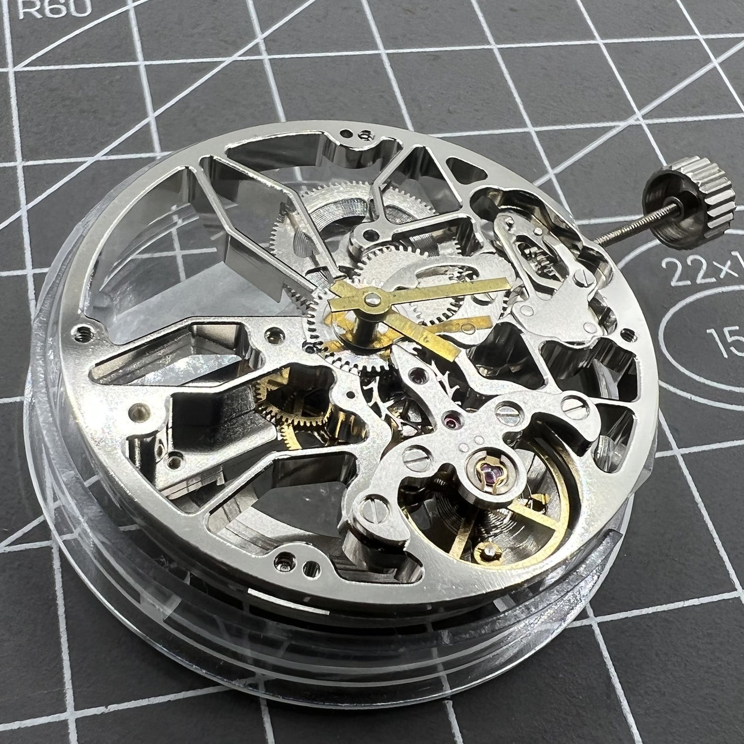 Dandong 8306 Automatisches Uhrwerk Silber Hohles Design mit 2 Zeigern