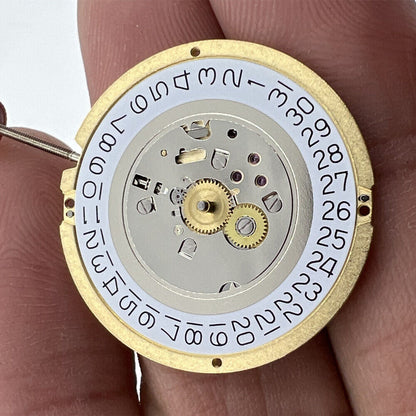 Ronda 1016 Swiss quartz watch movement, precise timekeeping for watch accessories.
