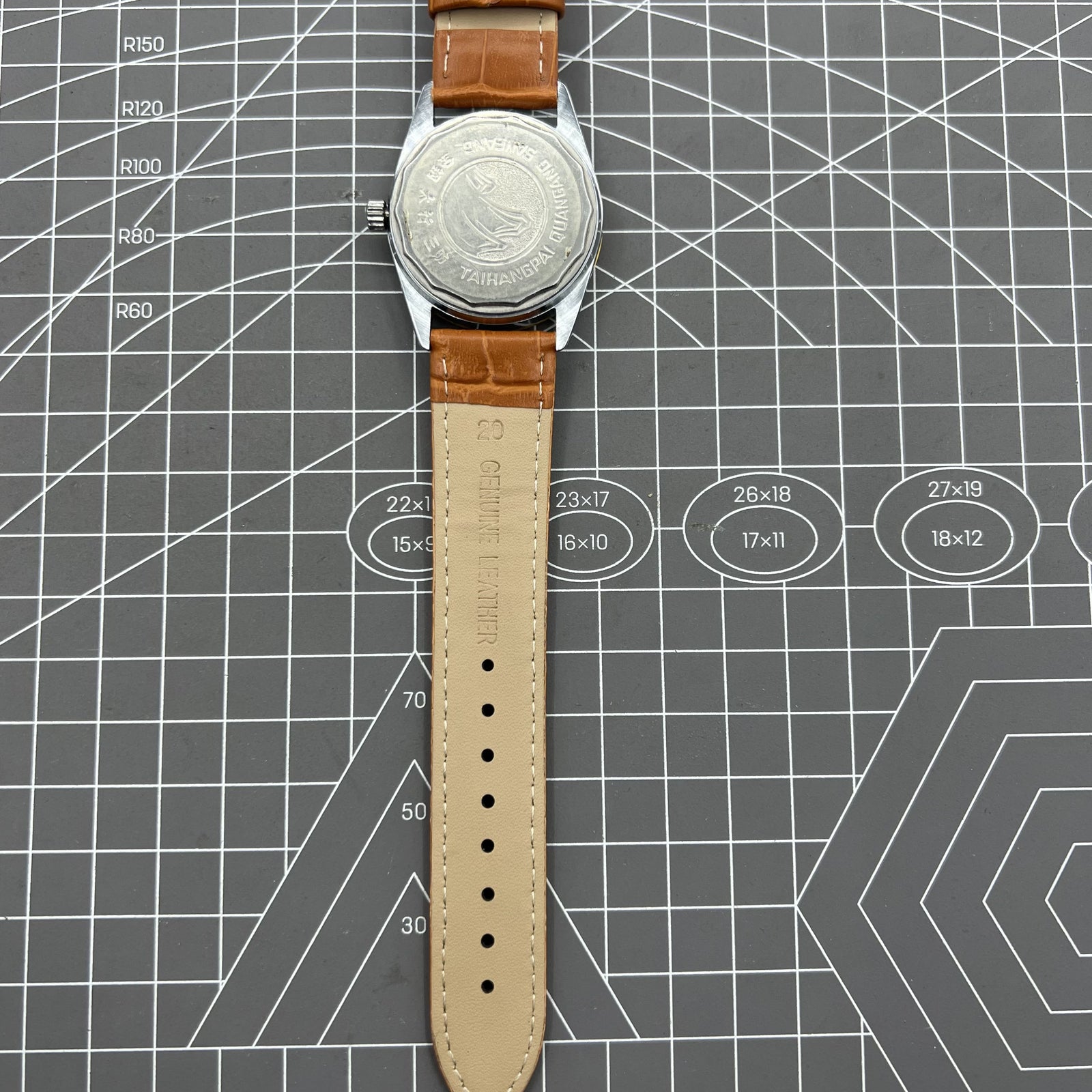 TAIHANG 38mm mechanical watch with silver dial, golden hour markers, and 17 jewel round case movement.