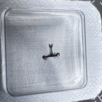 2 Stück Palettengabel Universal Passend für 8200 Bewegung Modell 710