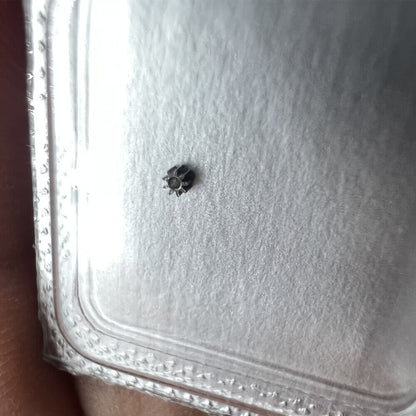 Precise ETA 2671 setting wheel gear, essential watch part for accurate movement repair