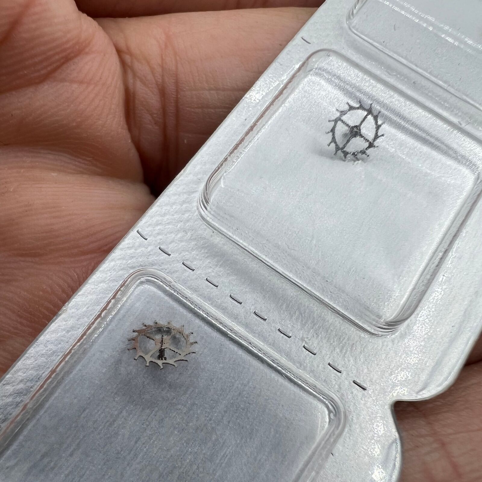 Seiko Escape Wheel for NH35 NH36 watch movement, precision Japan-made, durable replacement part.