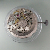 Japan Brand New Miyota 8N24 Silver Automatic Mechanical Japan Movement Skeleton