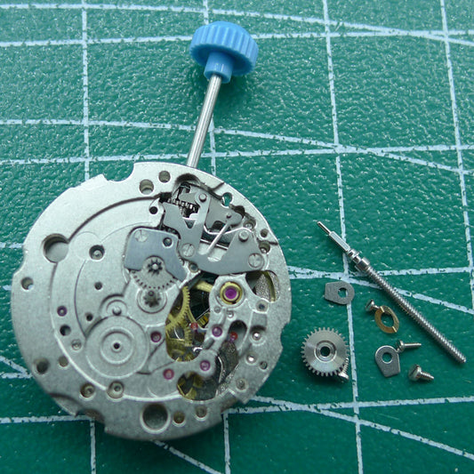 Großhandel Miyota Automatische Bewegung 6T28 Mechanische Bewegung Weibliche Armbanduhr 