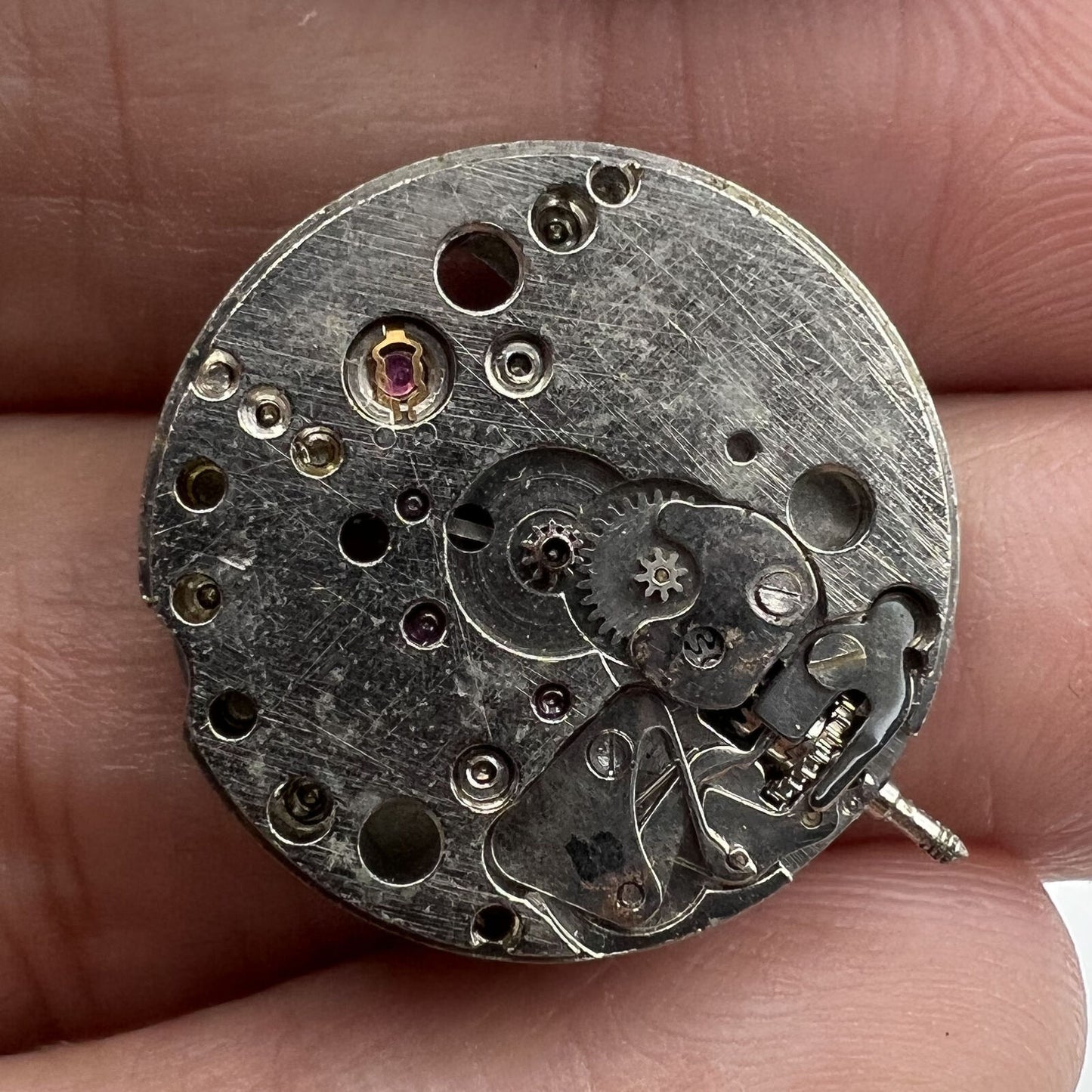 5x China Made 7121 3121 automatic mechanical watch movements for precise watch repair practice.