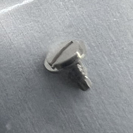 Week Corrector Screws for ETA 2836-2, 2824-2, 2834-2 movements, generic fit precision parts.