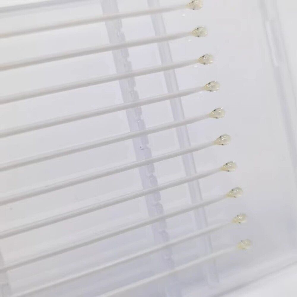 10PCS Reinigungstupfer Klebstoff Staubentfernungsstab für Uhrenreinigungswerkzeuge