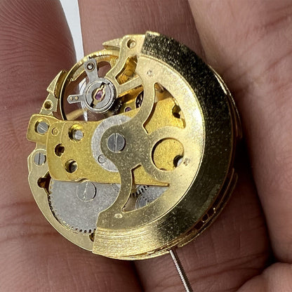 Hollow golden 26.5mm DANDONG 7120 automatic watch movement showcasing intricate mechanical design details