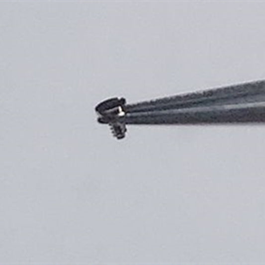 Vis de grande taille originales pour roue à cliquet pour mouvement <tc>ETA</tc> C07.111