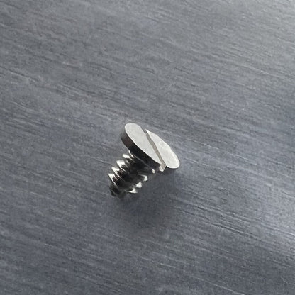 Ratchet wheel screws compatible with ETA 2836-2, 2824-2, 2834-2 movements, generic fit by #000SS.