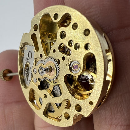 Hollow golden 26.5mm DANDONG 7120 automatic mechanical watch movement showcasing intricate gears and craftsmanship