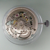 Japan Brand New Miyota 8N24 Silver Automatic Mechanical Japan Movement Skeleton