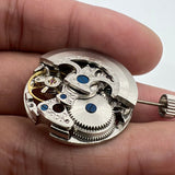 7120 Silver Hollow Extra Large Automatic Mechanical Movement