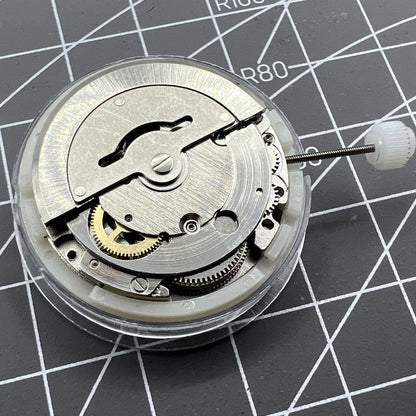 Mouvement mécanique automatique argenté DG2813 8205, remplacement jour date 