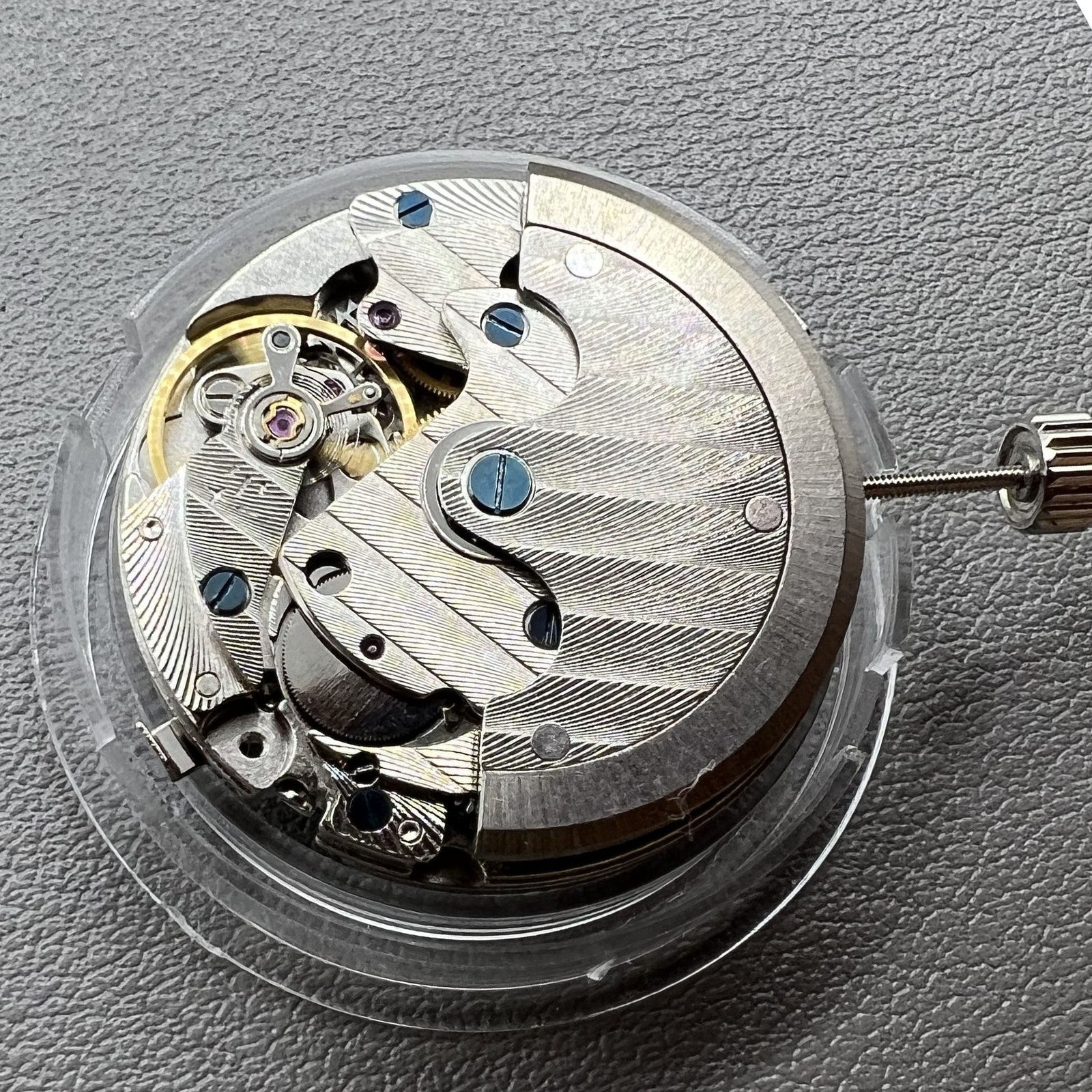Tianjin Seagull TY2711 automatic movement showcasing precise mechanical watch parts and craftsmanship.