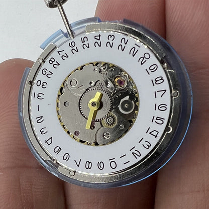 China Made Men Tianjin Seagull ST6 watch movement showcasing precise automatic mechanical components.