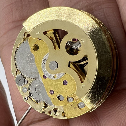 Hollow golden 26.5mm DANDONG 7120 automatic watch movement showcasing intricate mechanical design and craftsmanship.